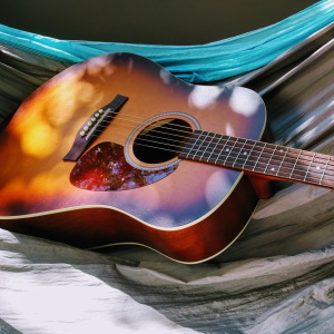 category_guitar>
                </a>
                <p style=