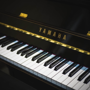 category_piano>
                </a>
                <p style=