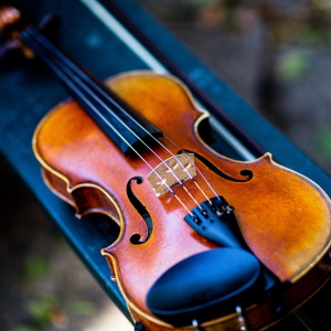category_strings>
                </a>
                <p style=